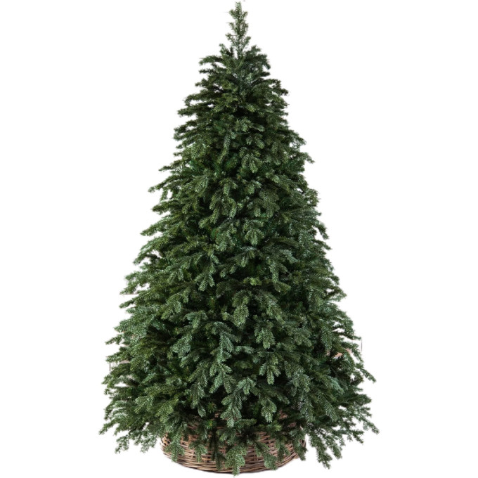 Новогодняя пихта TRIUMPH TREE, Прелестная, 365 см, зеленая 73072